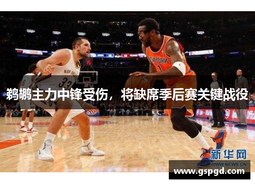 鹈鹕主力中锋受伤，将缺席季后赛关键战役