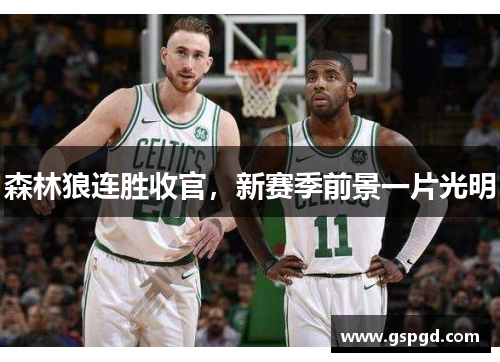 森林狼连胜收官，新赛季前景一片光明
