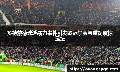 多特蒙德球迷暴力事件引发欧冠禁赛与重罚震惊足坛