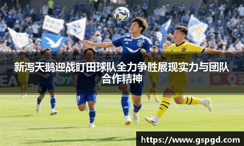 新泻天鹅迎战盯田球队全力争胜展现实力与团队合作精神