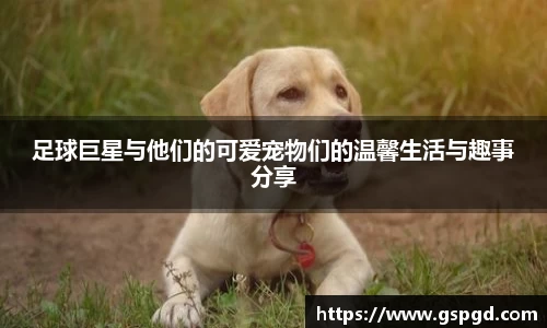 足球巨星与他们的可爱宠物们的温馨生活与趣事分享